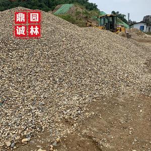 大块鹅卵石小规格造景石绿化地热砾石水冲石滤油池